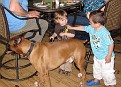 IMG 4551