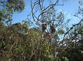 DSCF0037