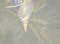 DSC03799.JPG
