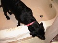 DSC00597