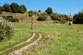 DSC 9582