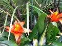 IMG 0067