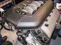 IMG 3868