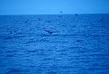 Scan-111210-0018