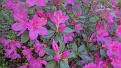 DSC03759