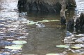IMG 2704