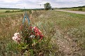Bog 2009 2 508.jpg