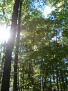DSCF0061