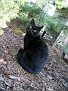 DSC05370