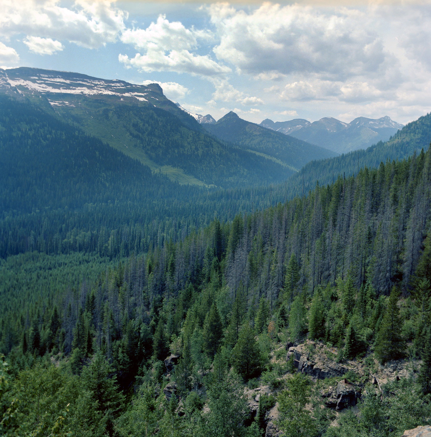 Image 0006