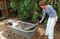 DSC 0710