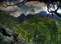 Gould's Circuit Walk 005