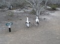 IMG_4429.JPG
