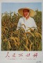 89 Chinese History in Pictures 52