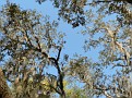 P1330024