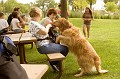 IMG 6611