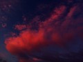DSC09591 fram.jpg