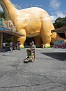 DSCN5335