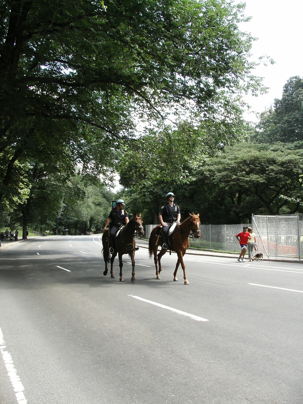 NY - New York City Police