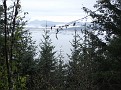 DSCF0451.JPG