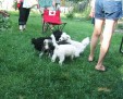 IMG 00121