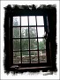 from inside looking out