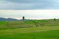 DSCF0251