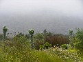 100_5270-1.jpg