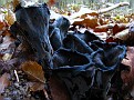 IMG 7308