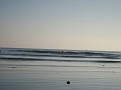 IMG 0185
