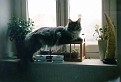 010813 Nigel