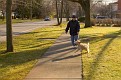 IMG 7988