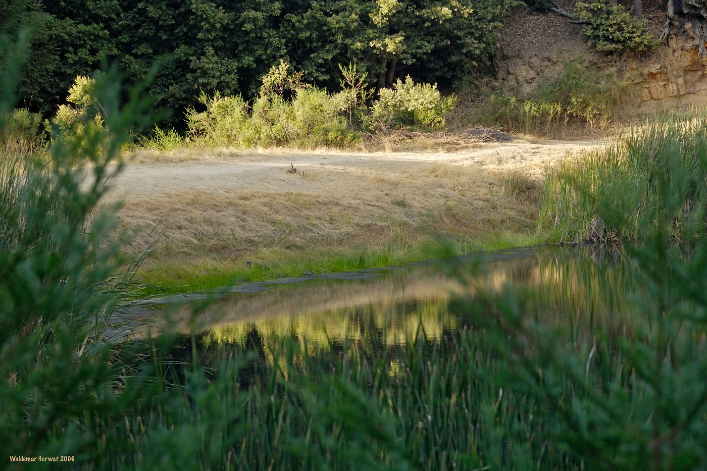 Lake Gamlen