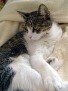 DSC04942