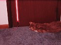 IMG 2896