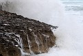_DSC7604.jpg