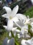 DSC00880