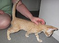 IMG 4360