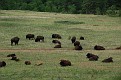 IMG_2322.JPG