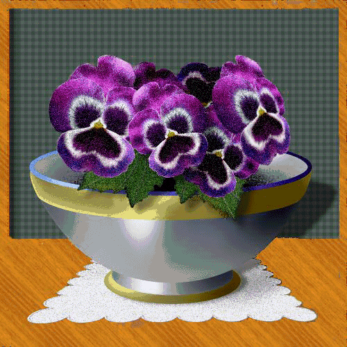 flowers_violets_021-vi.gif