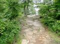 SLEEPING GIANT 25