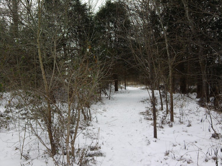 [Linked Image from images20.fotki.com]