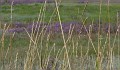 DSC01579
