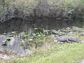 PICT0022.JPG