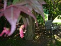 DSCN1698