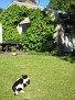 IMG 7638