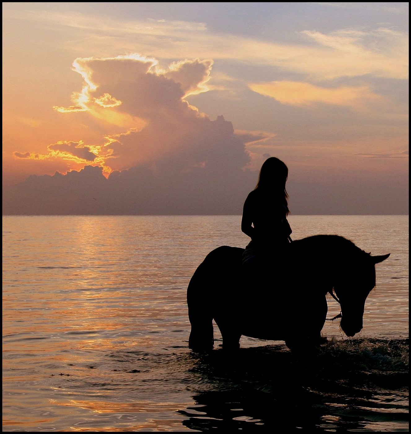 Девушка на лошади на закате