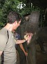 Troy Feeding Elephant