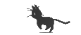 A cat running left
