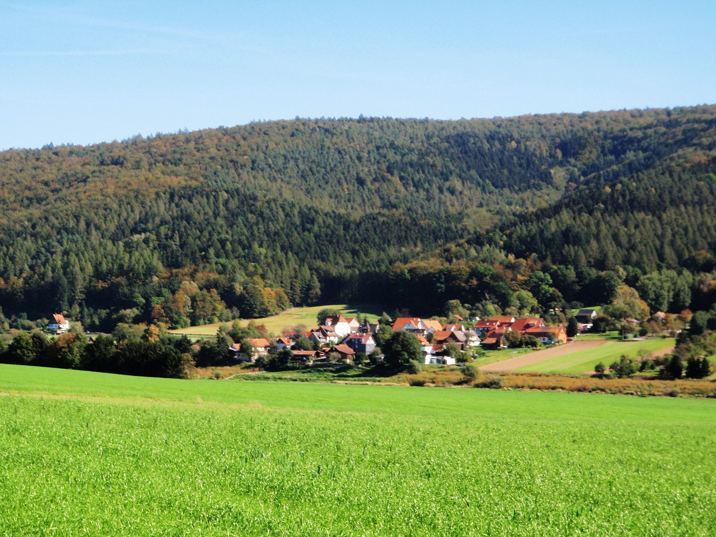 Blick auf Glashütte